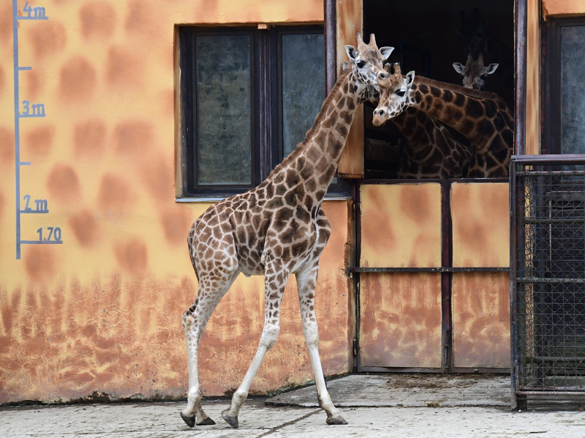 Zdroj: Zoo Olomouc
