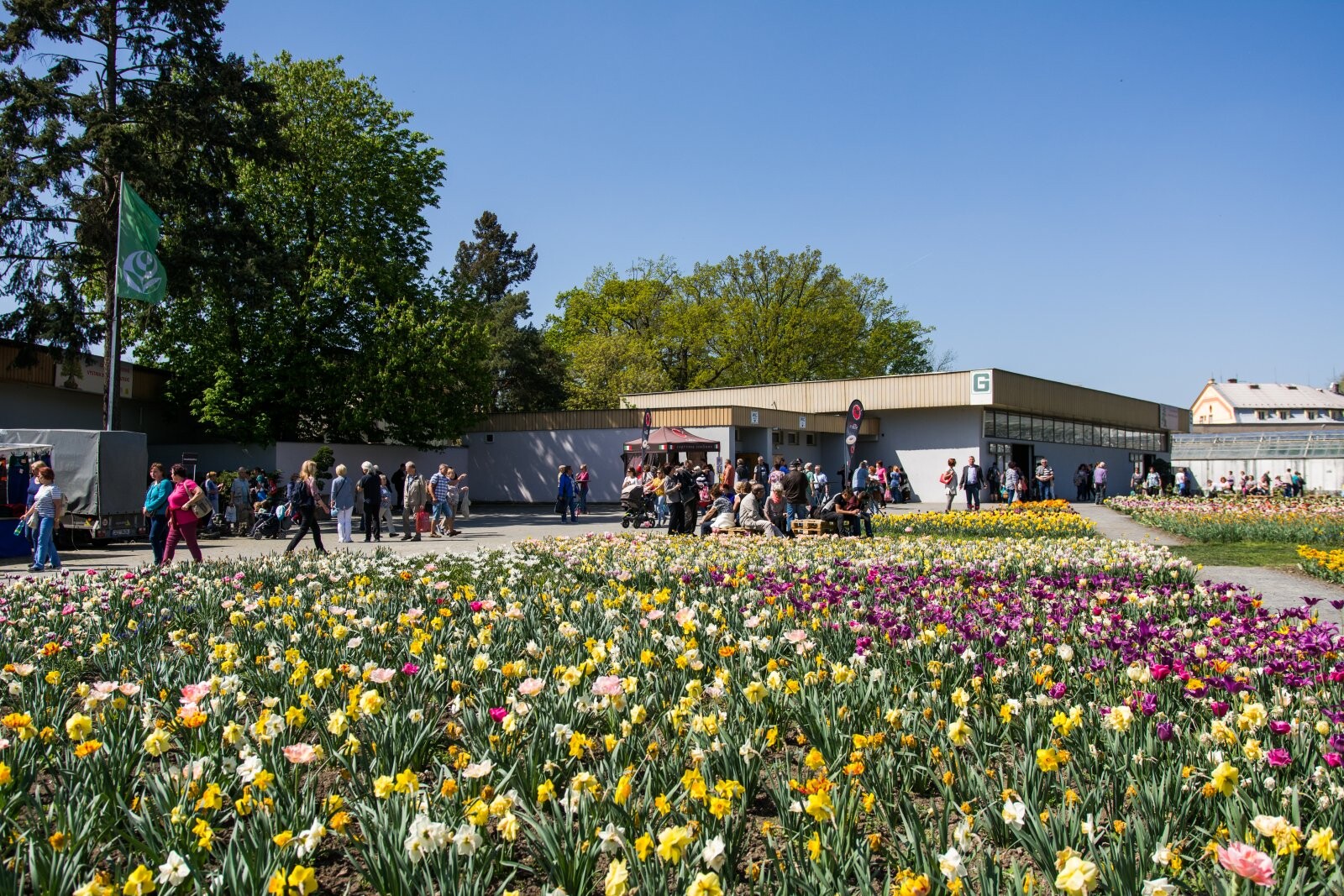 Zdroj: Flora Olomouc