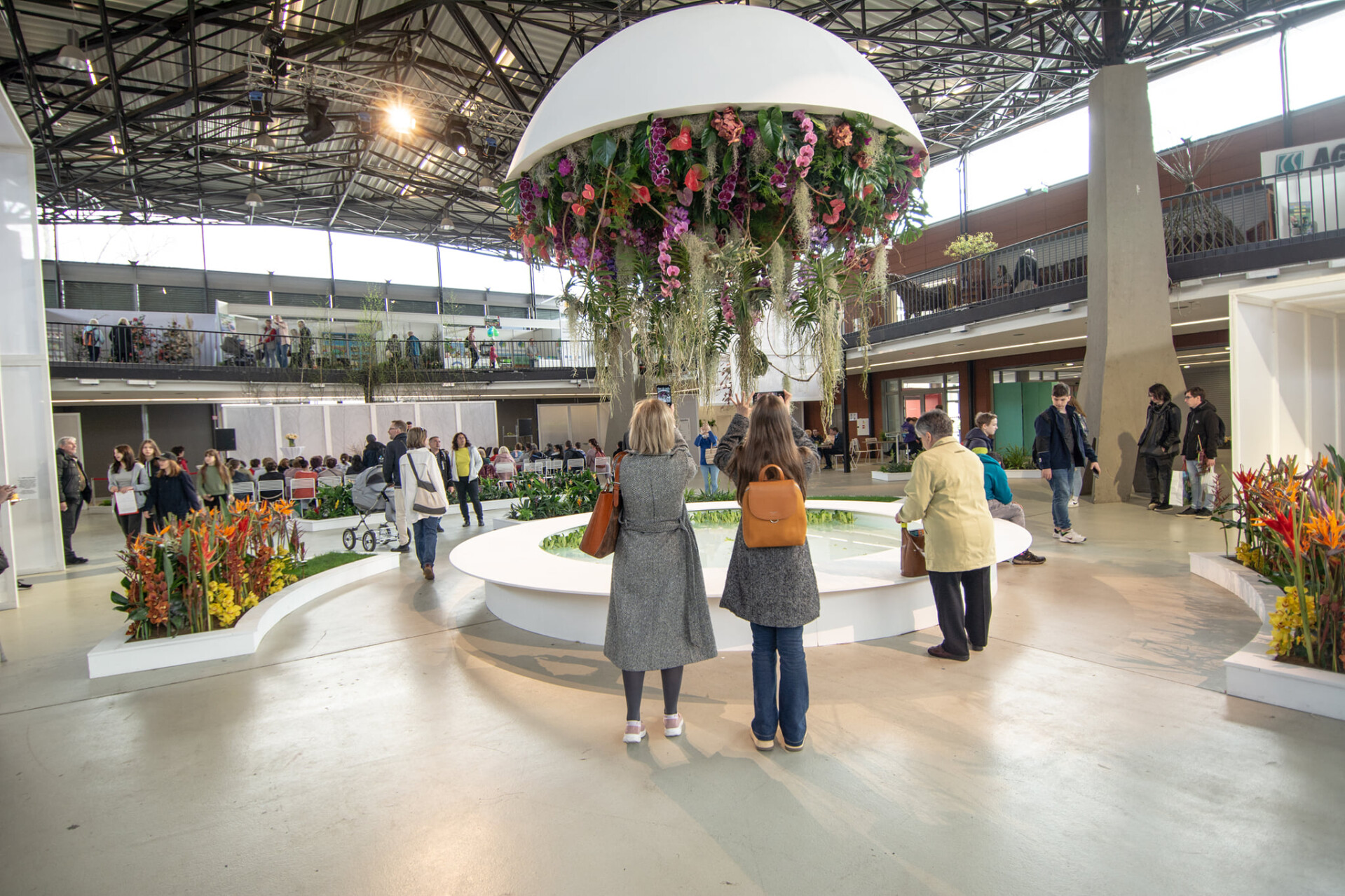 Zdroj: Flora Olomouc