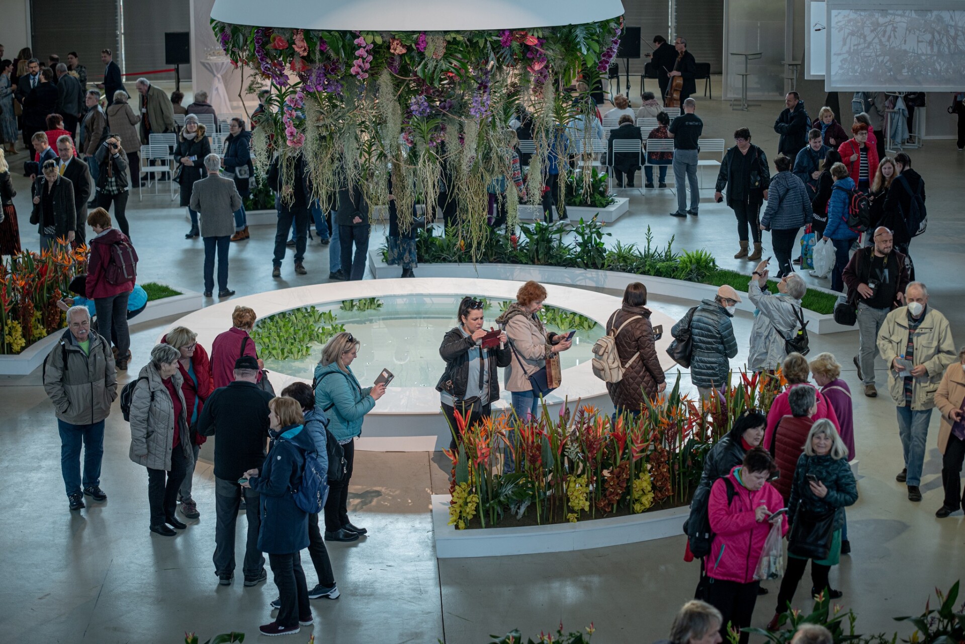 Zdroj: Flora Olomouc