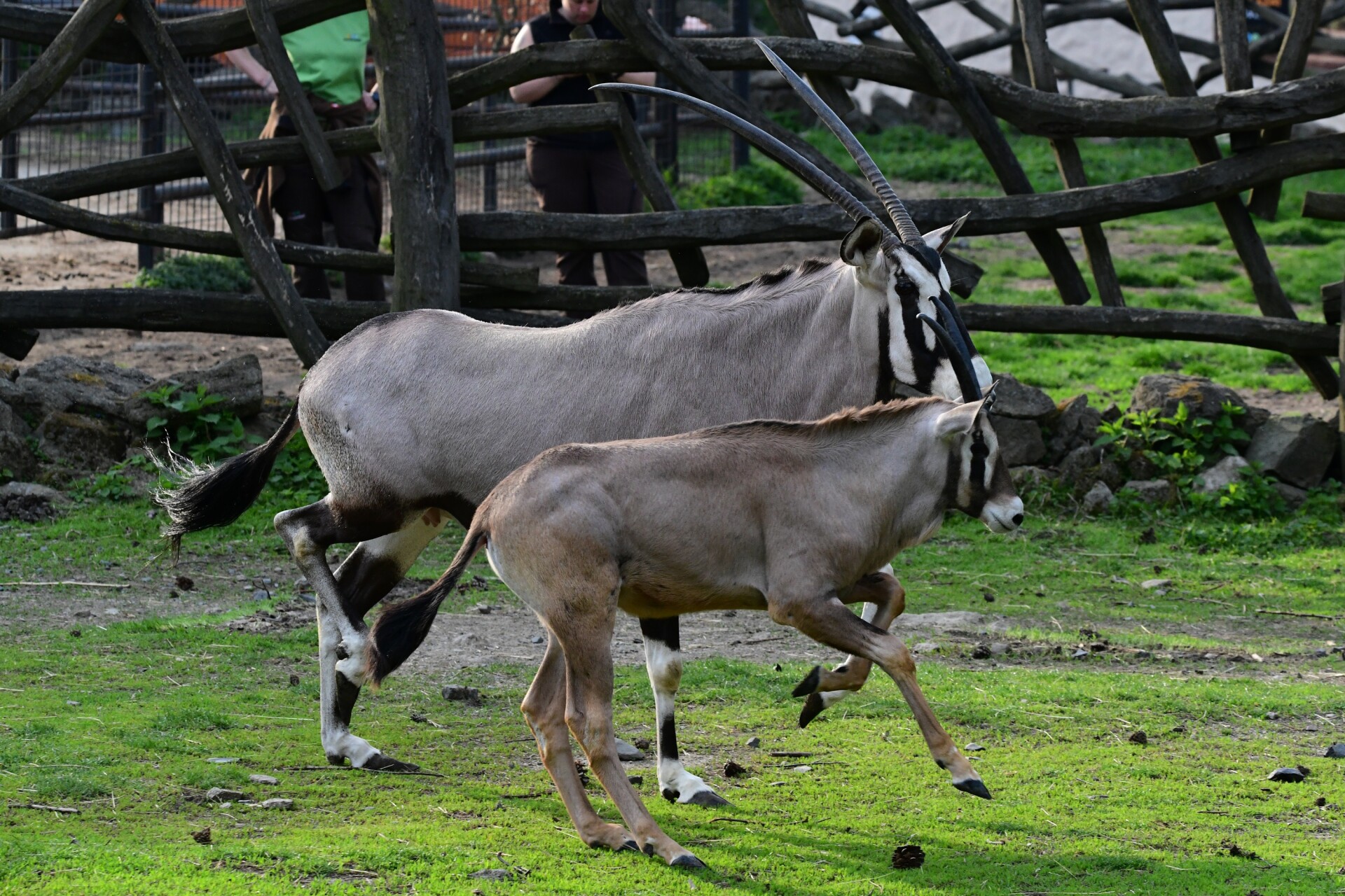 zdroj: Zoo Olomouc