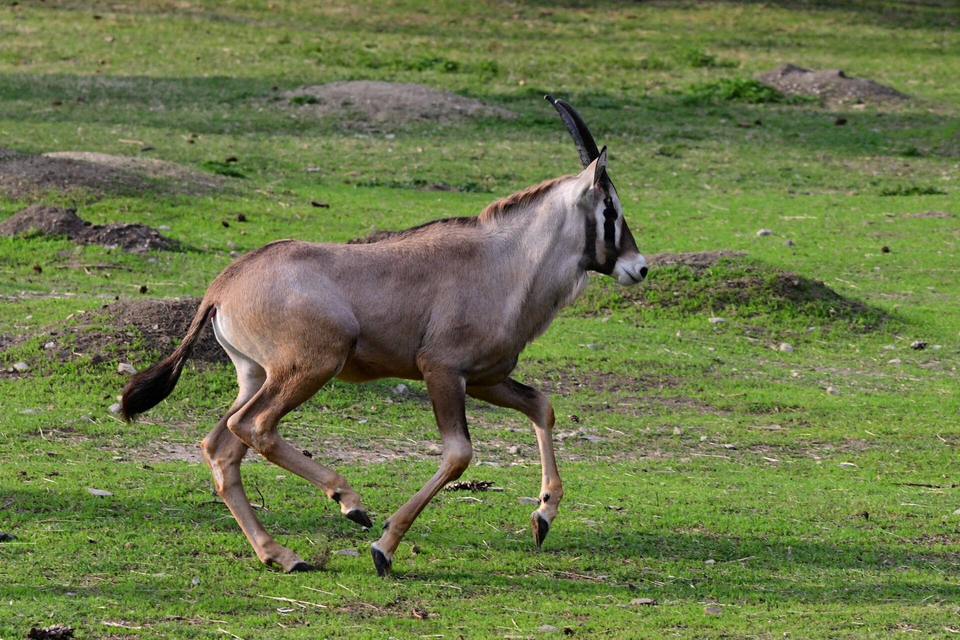 zdroj: Zoo Olomouc