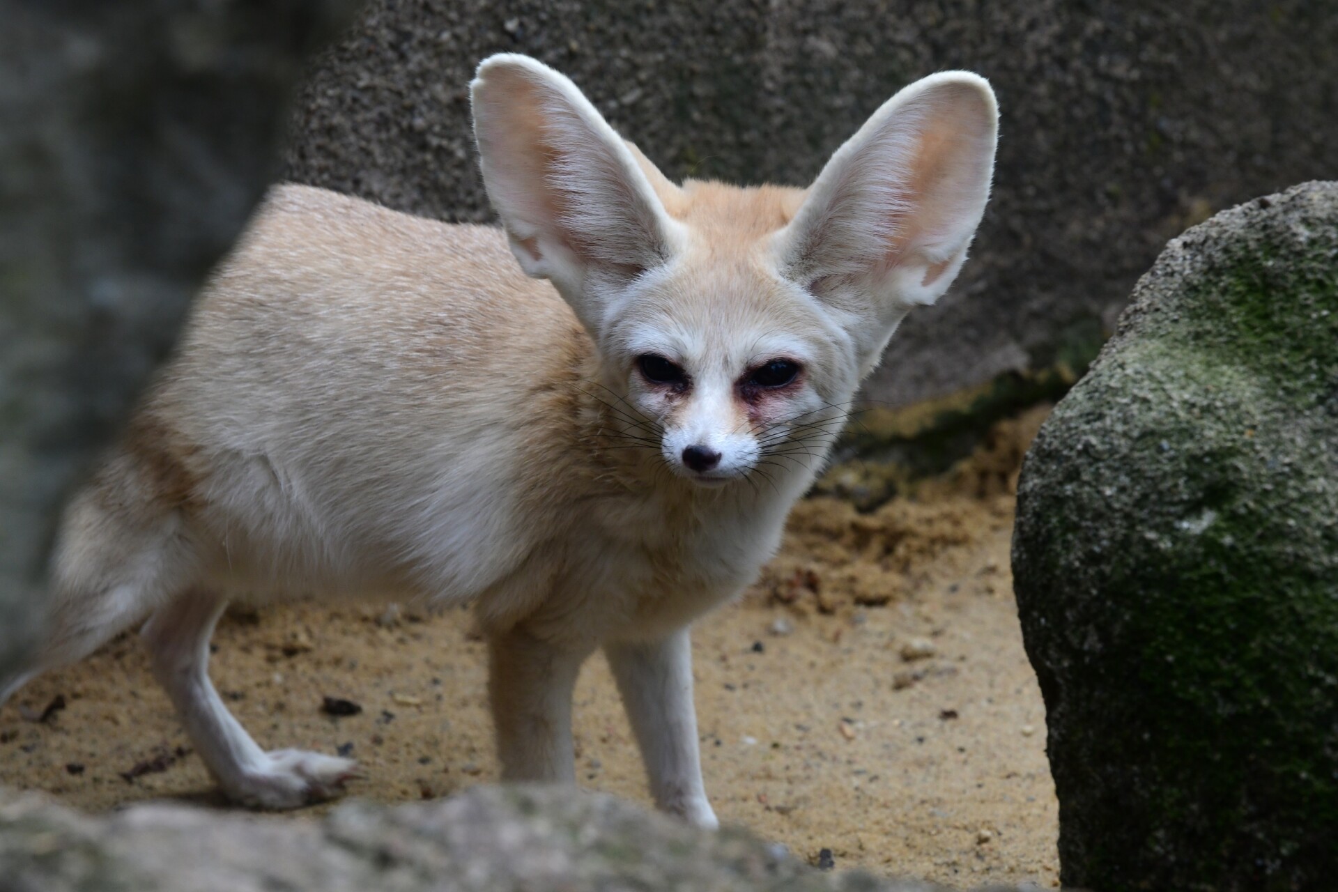 zdroj: Zoo Olomouc