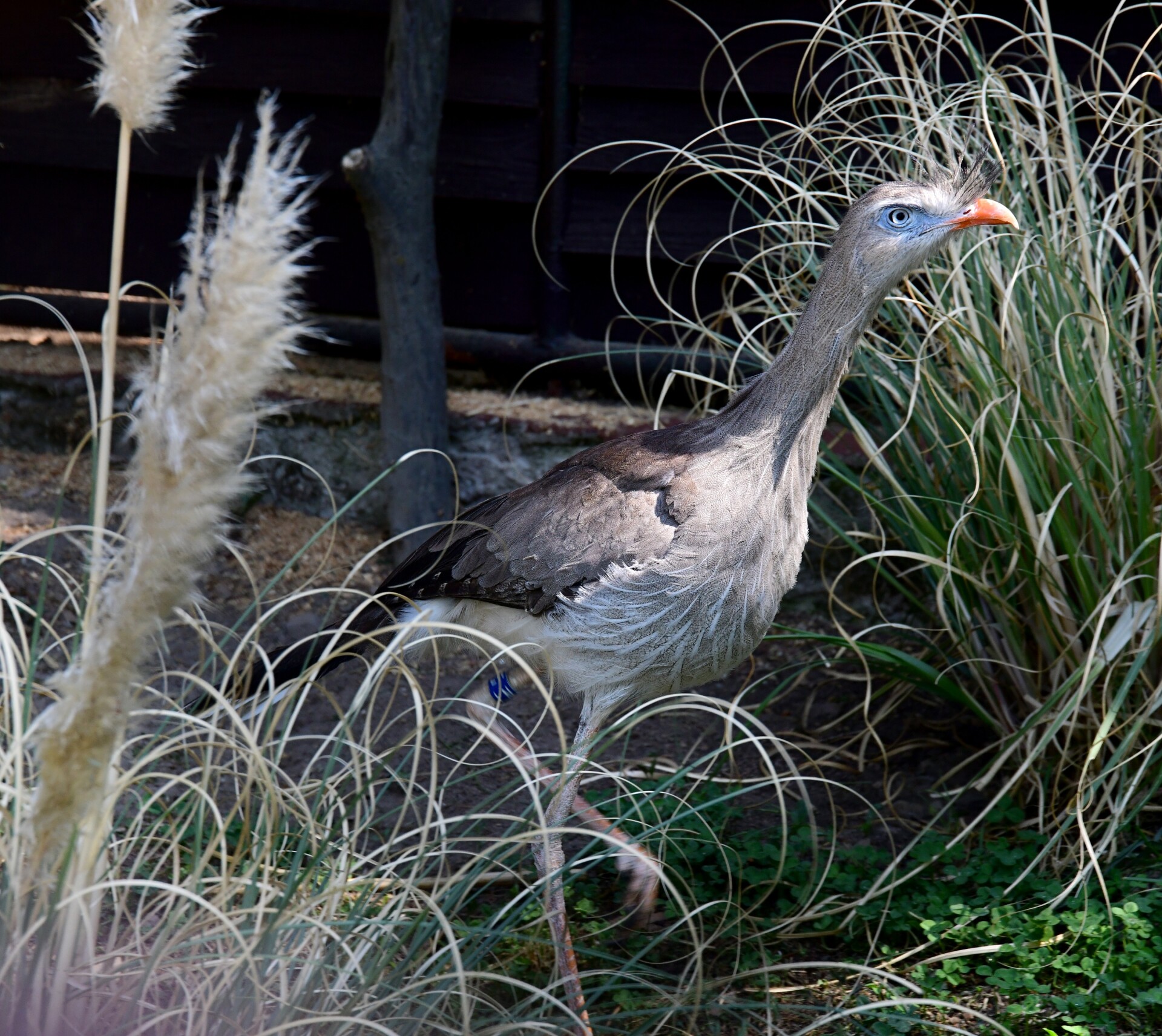Foto: Zoo Olomouc
