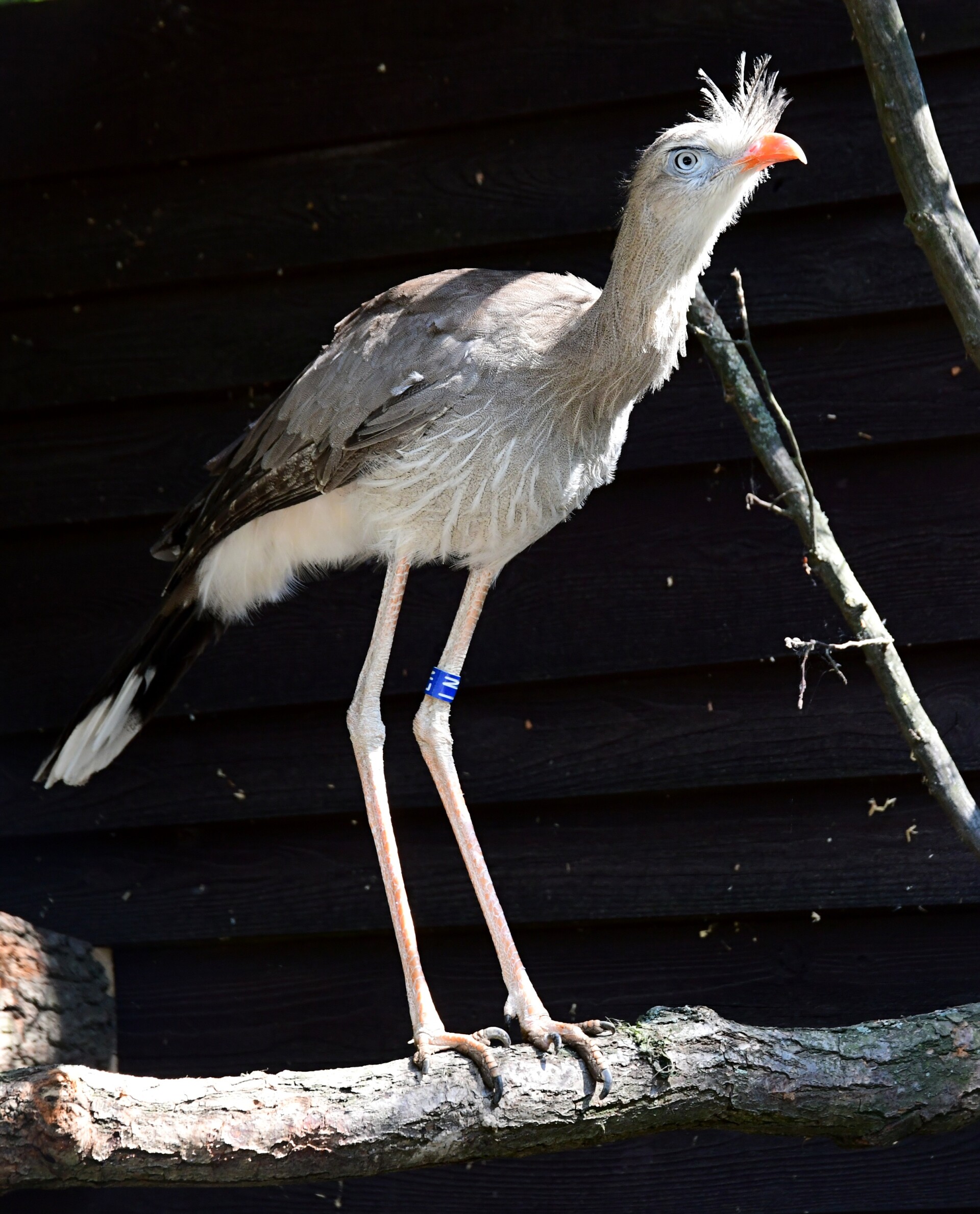 Foto: Zoo Olomouc