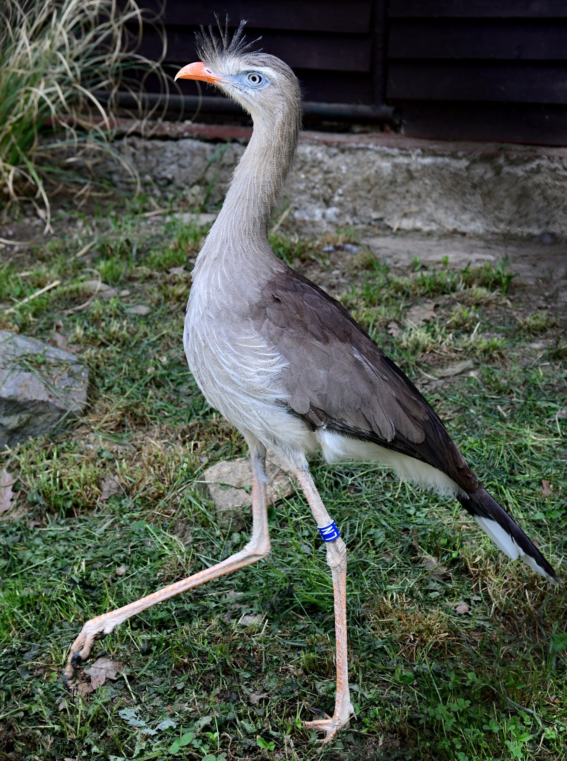 Foto: Zoo Olomouc