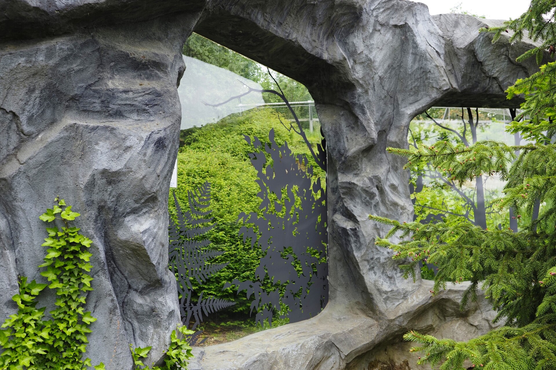 Zdroj: Zoo Olomouc
