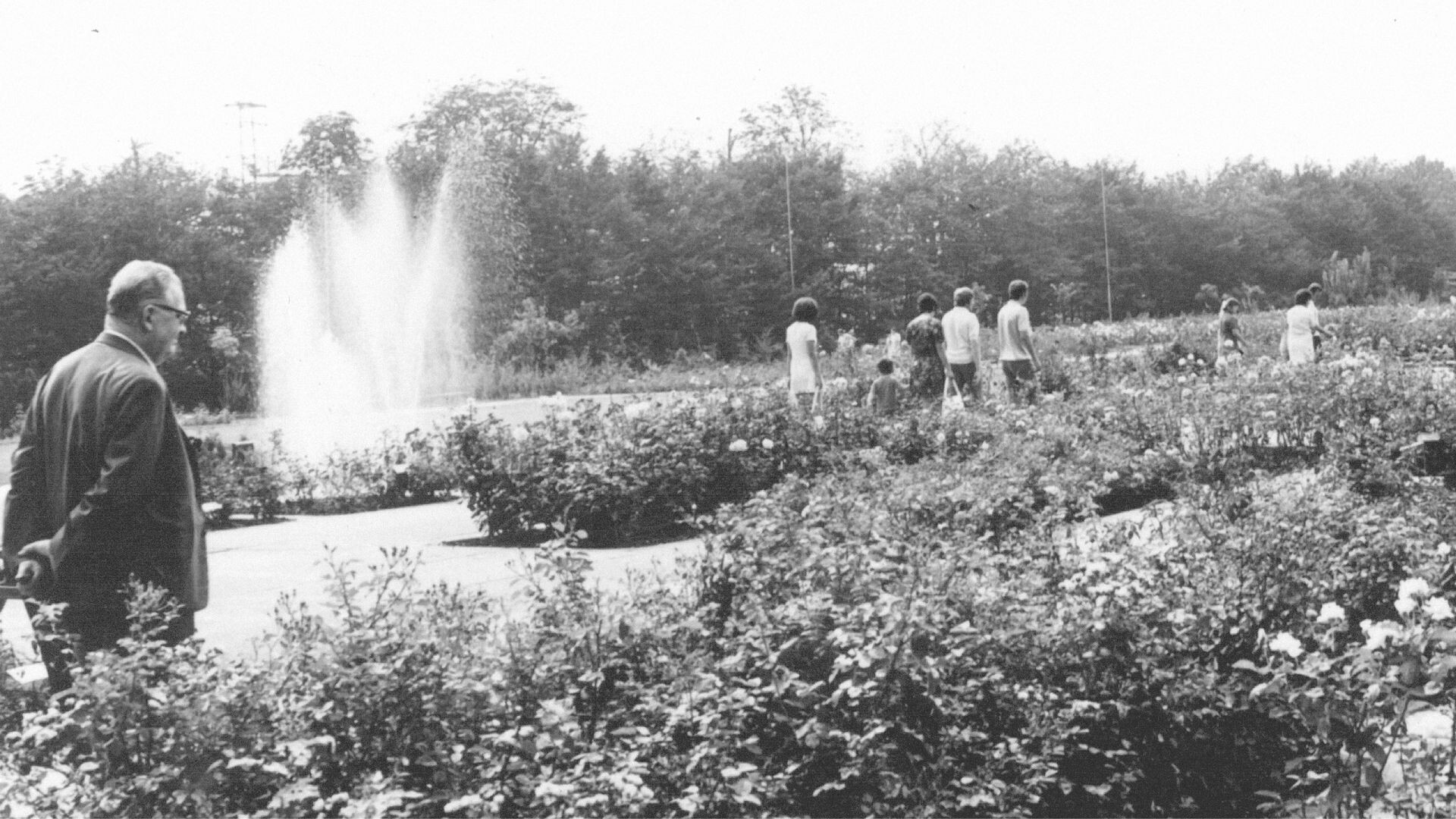 Zdroj: Flora Olomouc