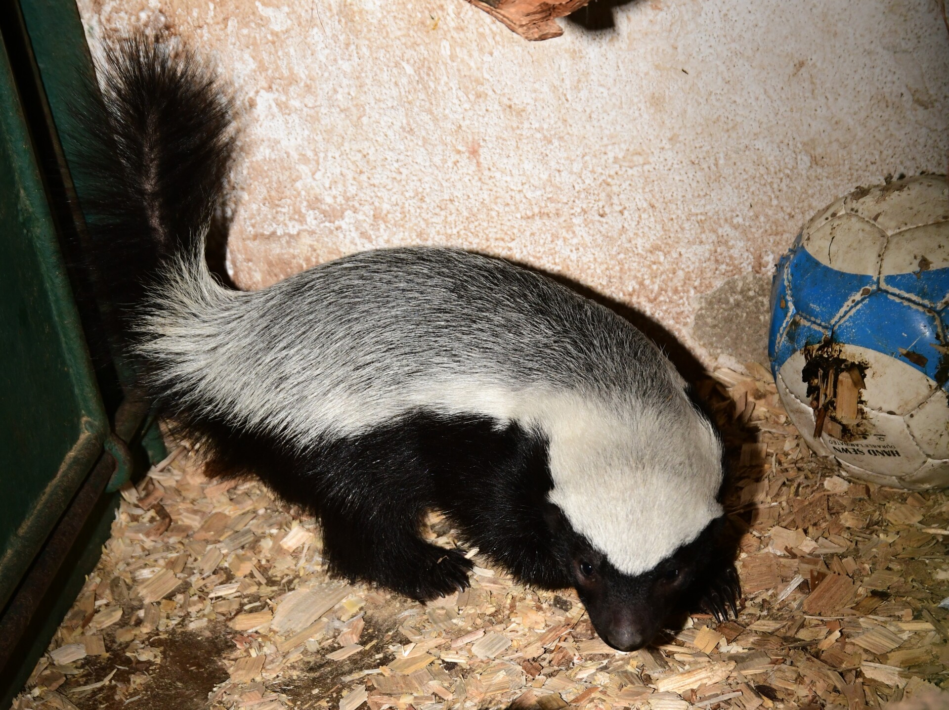 zdroj: Zoo Olomouc