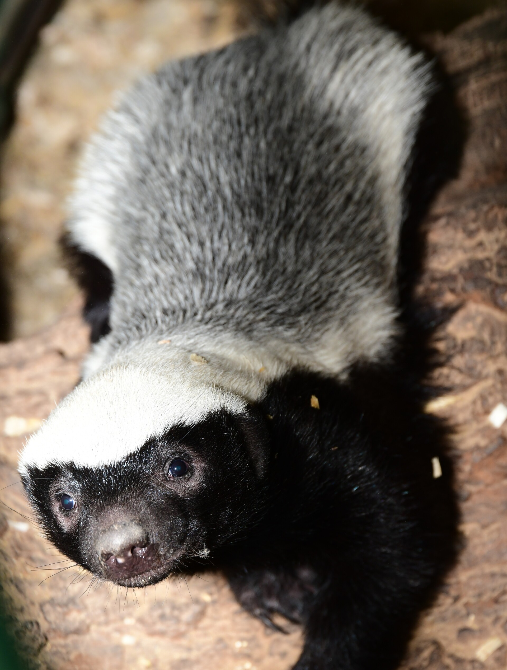 zdroj: Zoo Olomouc