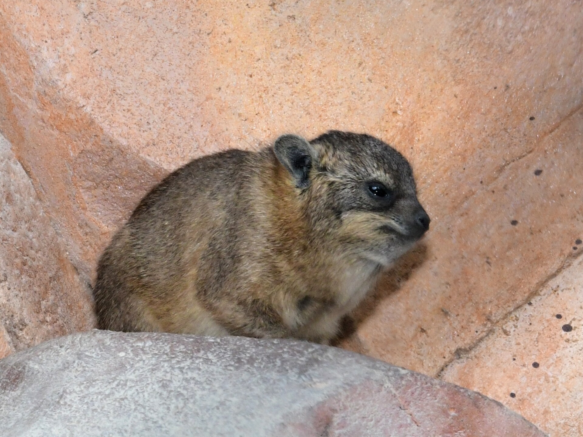 zdroj: Zoo Olomouc