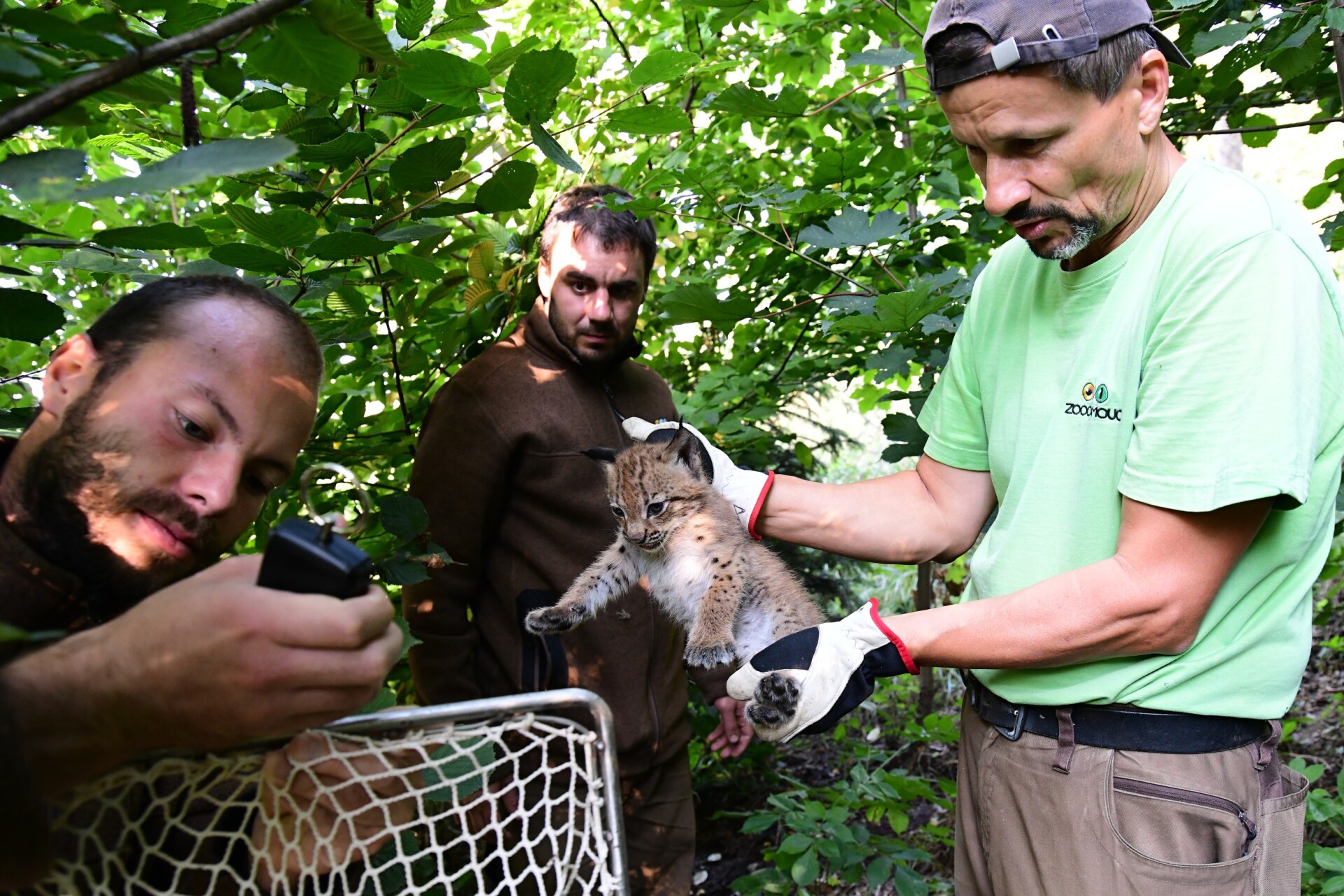 zdroj: Zoo Olomouc