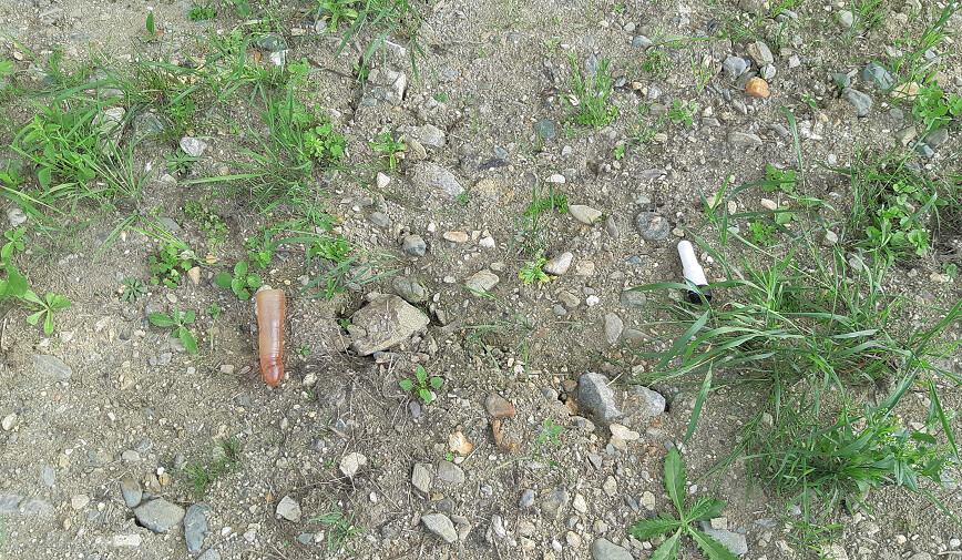 zdroj: PČR