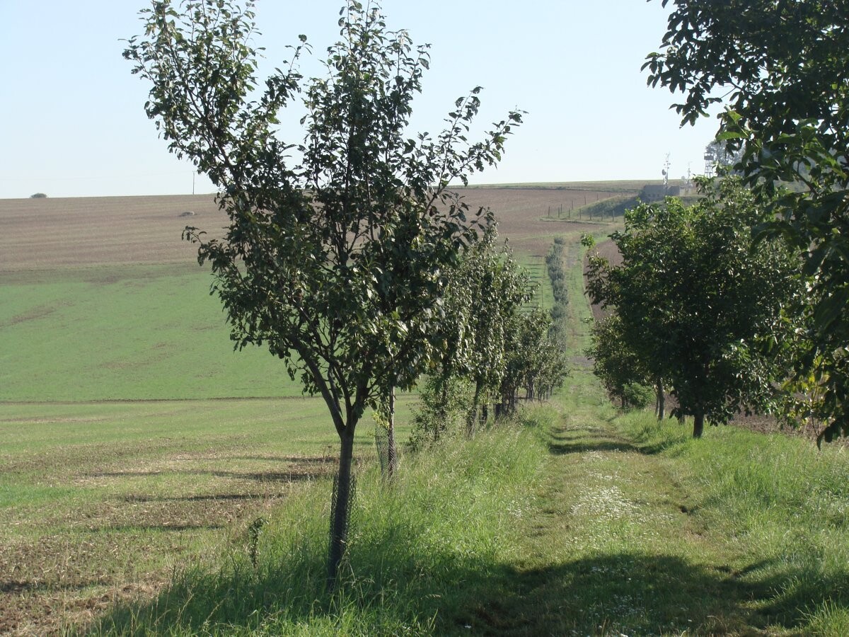 zdroj: Olomoucký kraj