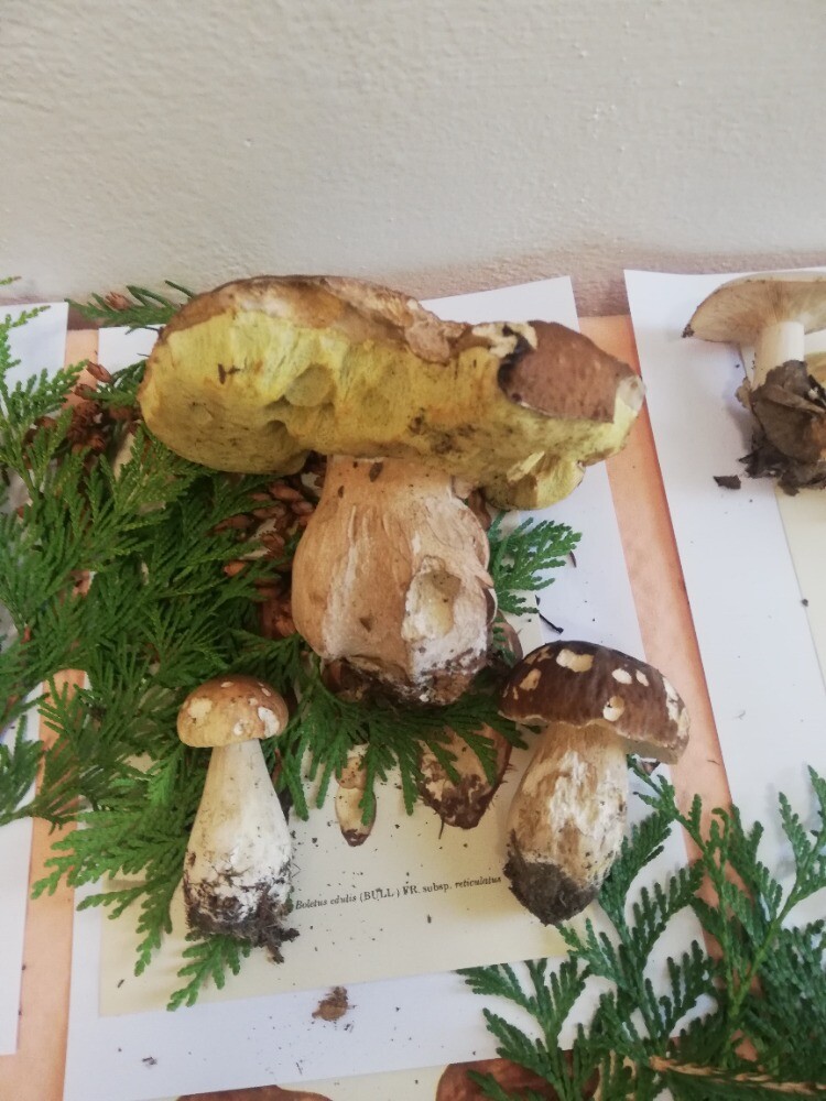 Zleva Milan Polák, dále Radmila Čoupková - knihovnice,&nbsp;zprava Miroslav Marusjak