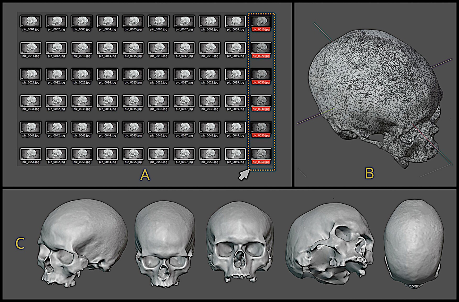 Snímky obrazovky na stránce Vídeňského přírodovědného muzea.&nbsp;Původní model: Mladeč 1 Skull (NHMW-Anthro-OSTE 5454) od Natural History Museum Vienna pod licencí Creative Commons Attribution-NonCommercial, zdroj: caves.cz