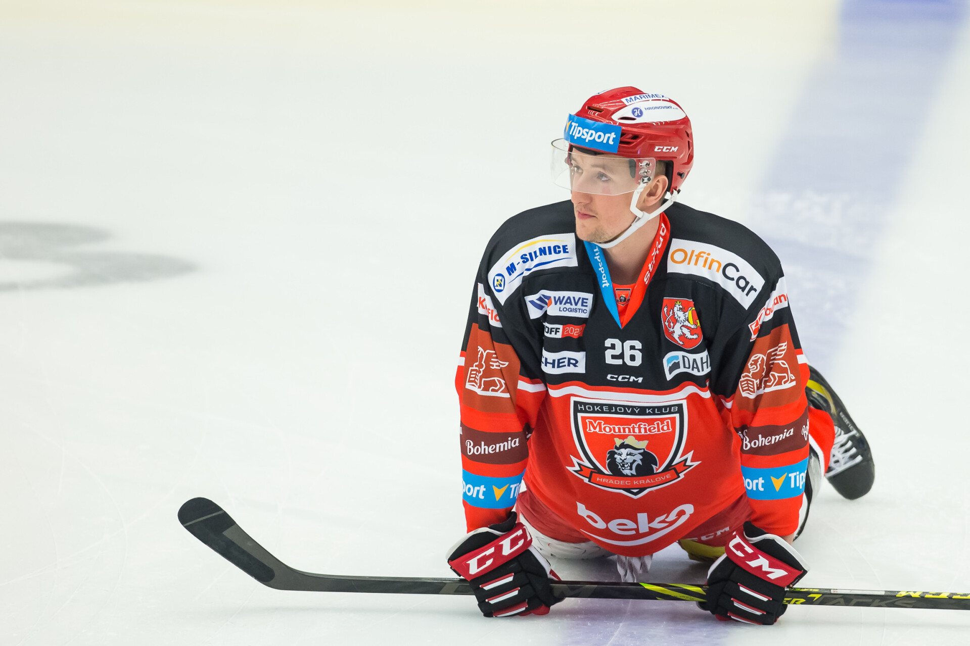 Zdroj: Mountfield HK