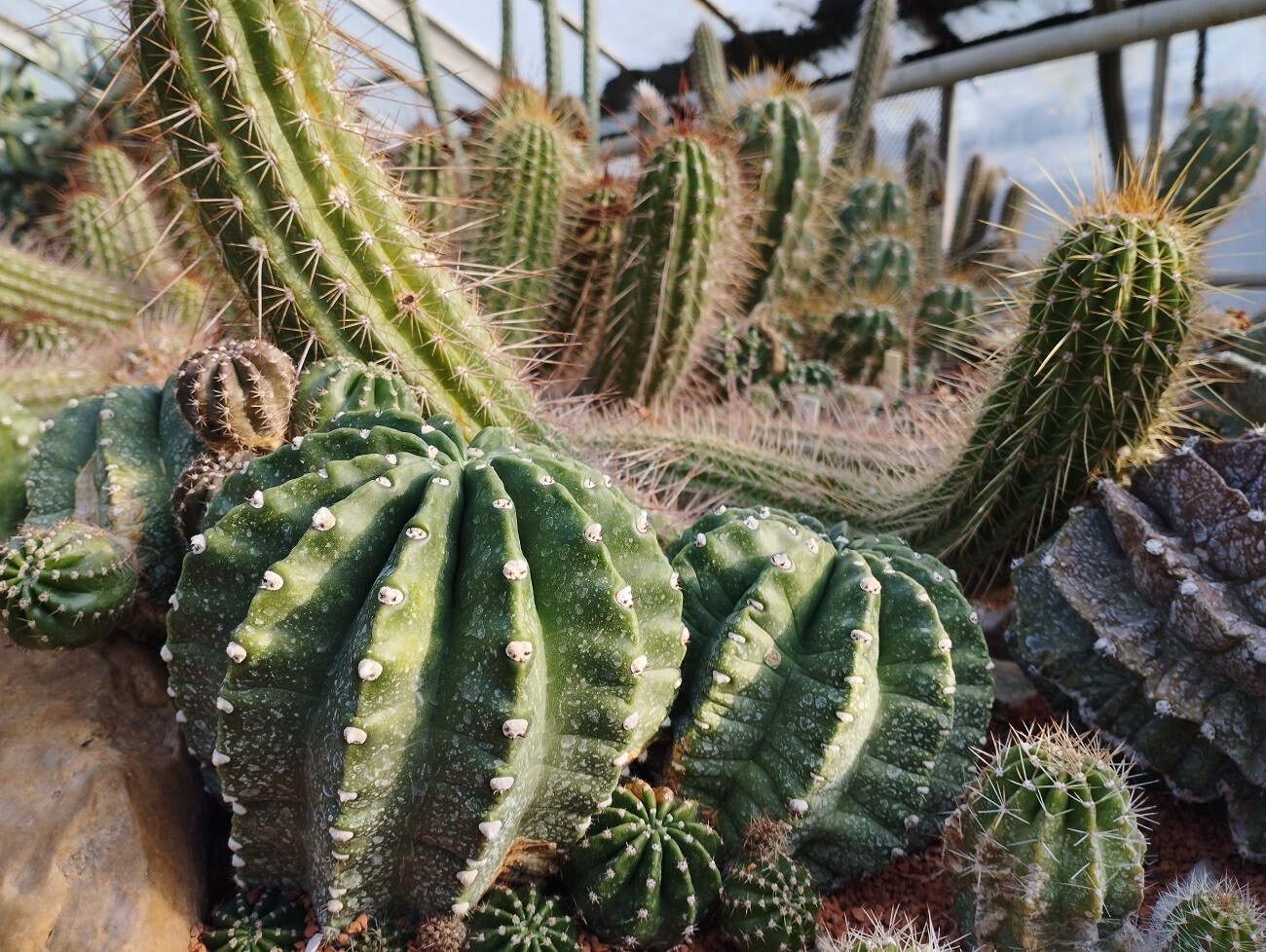 zdroj: Výstaviště Flora Olomouc