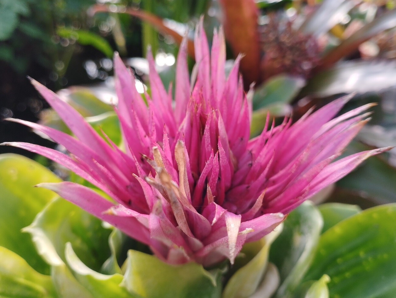 zdroj: Výstaviště Flora Olomouc