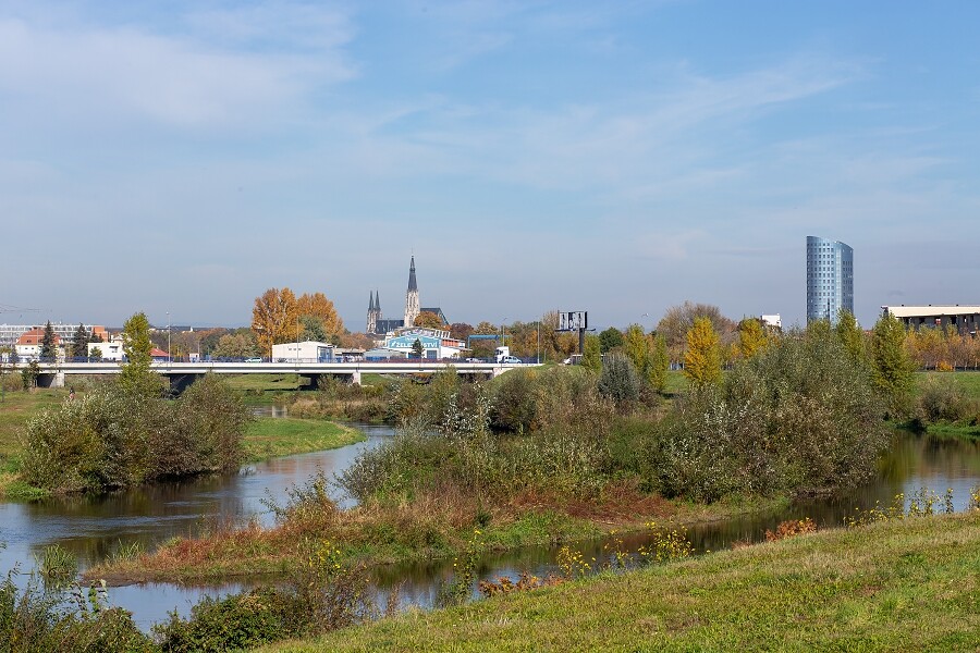 Zdroj: Příroda ve městě