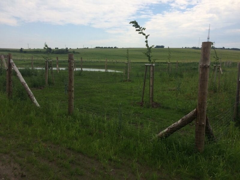 Lokální biocentrum Dobrochov, zdroj: obec Dobrochov