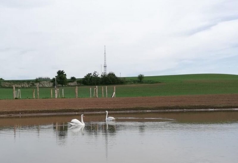 Lokální biocentrum Dobrochov, zdroj: obec Dobrochov
