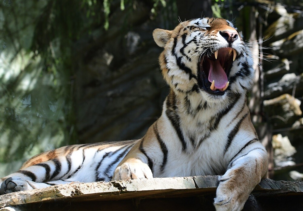 Zoo Olomouc