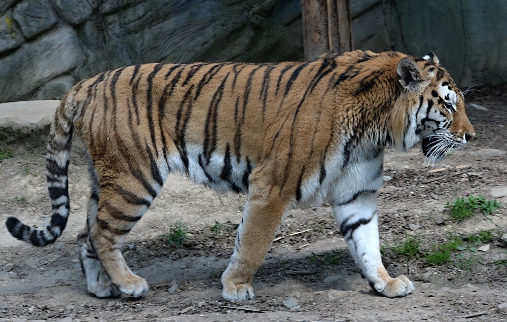 Zoo Olomouc