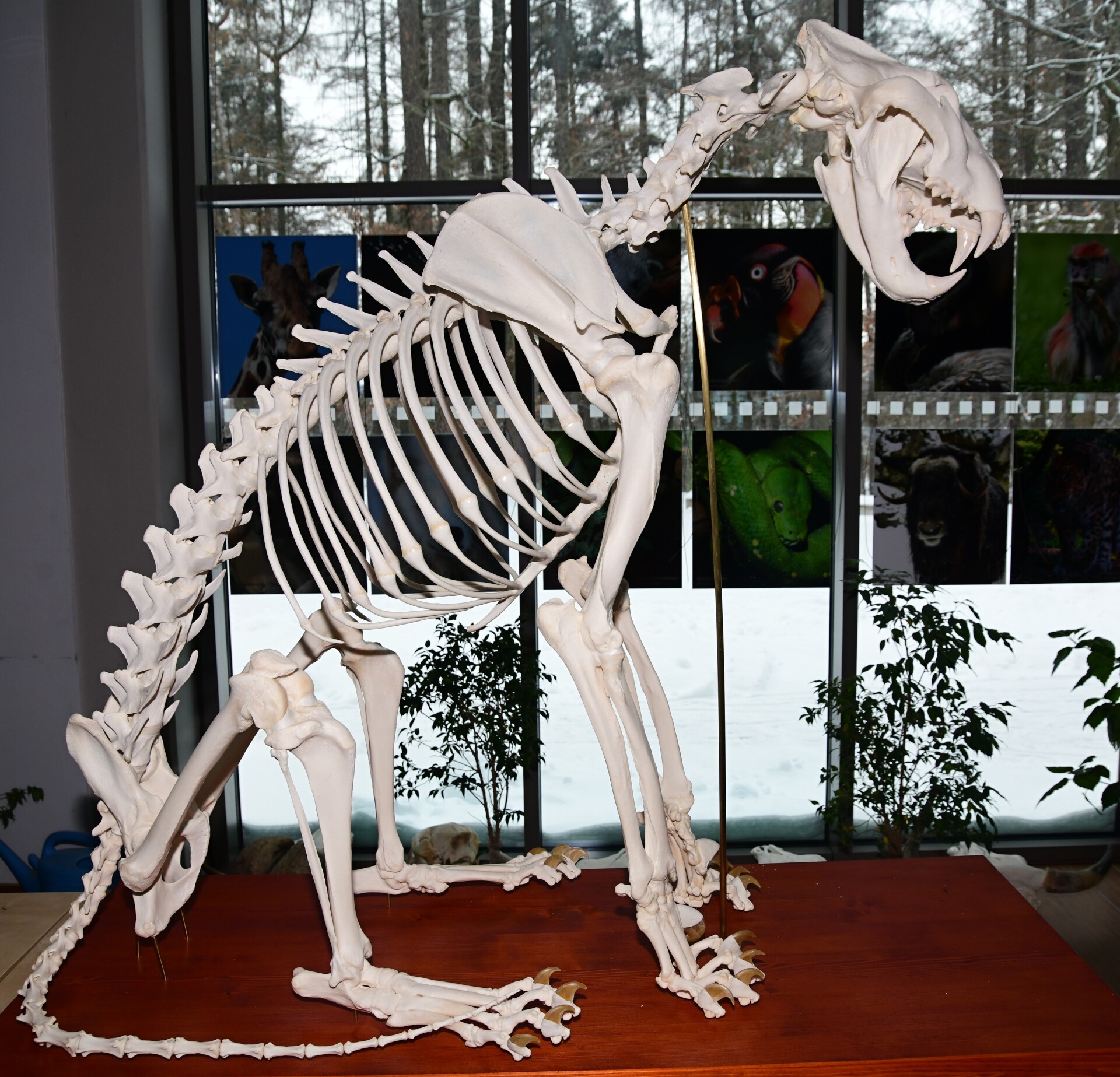zdroj: Zoo Olomouc