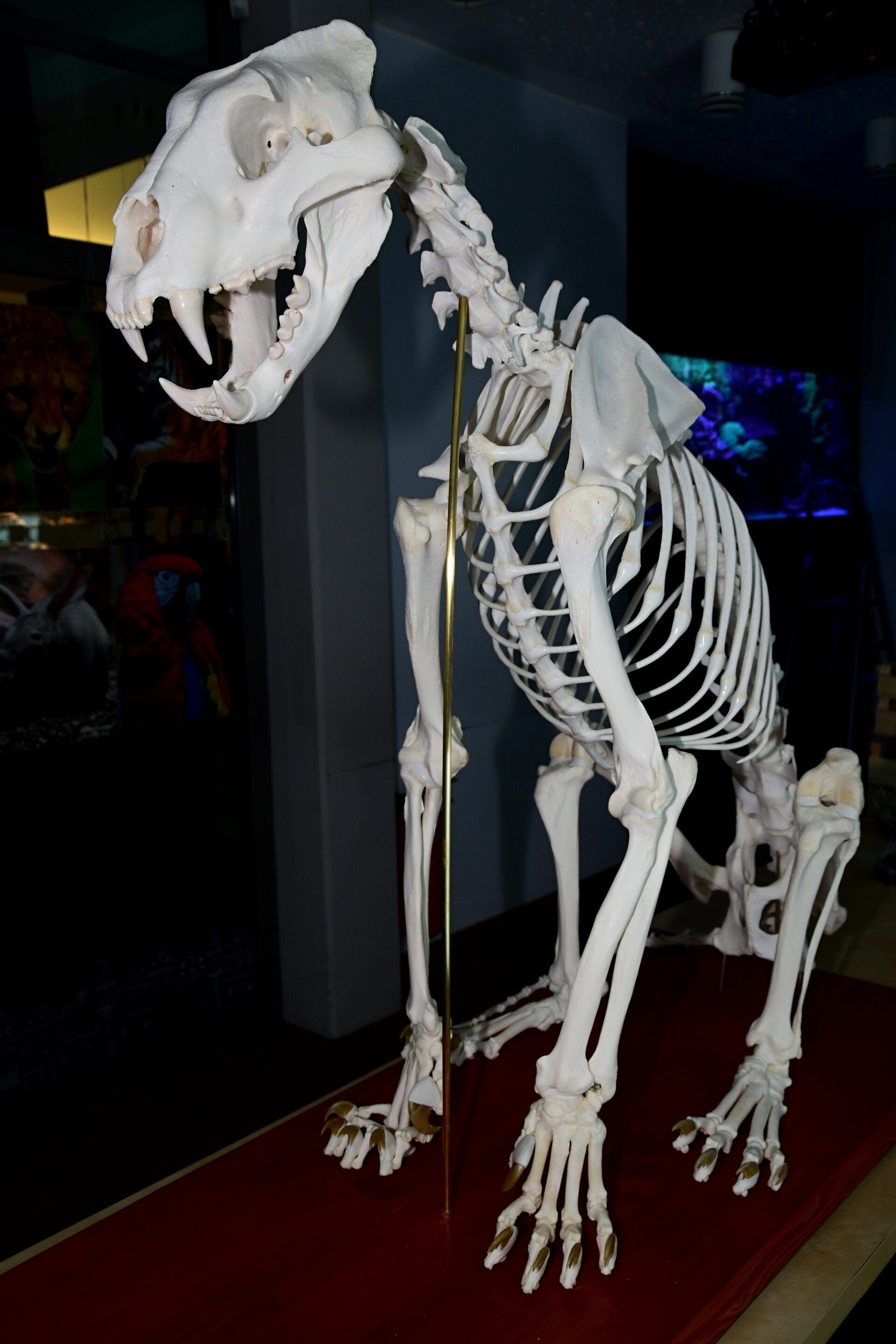 zdroj: Zoo Olomouc