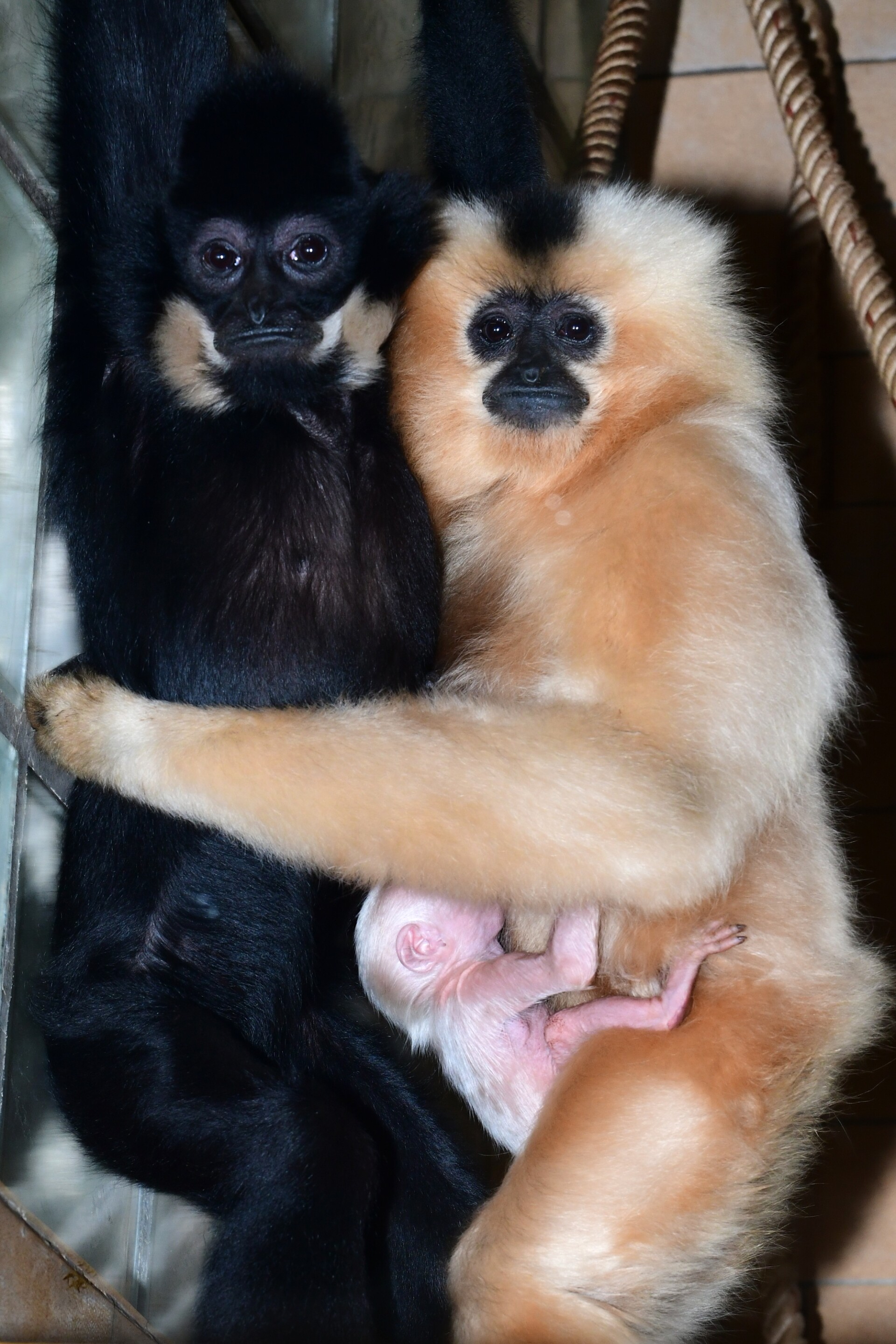 zdroj: Zoo Olomouc