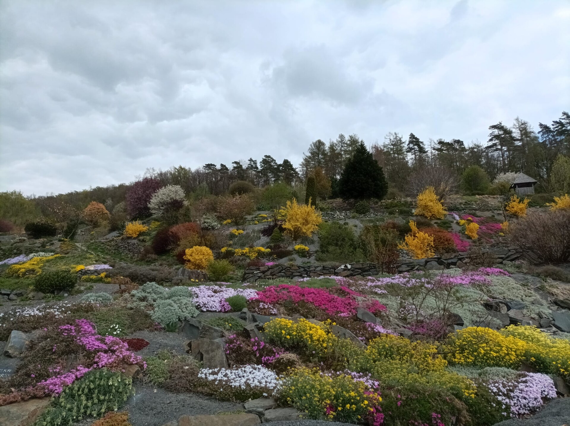 zdroj: Arboretum Makču Pikču Paseka