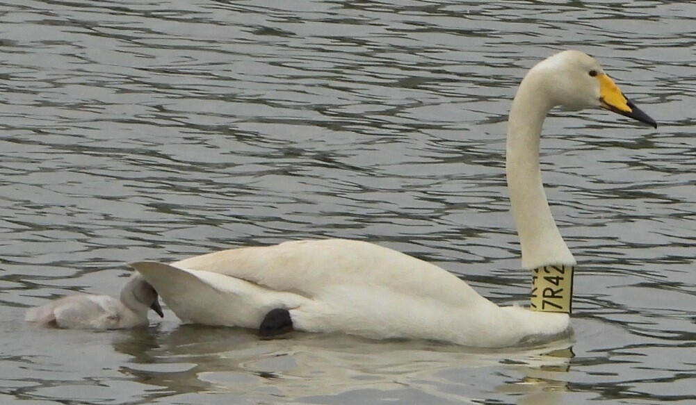 Foto: Zdenek Němeček