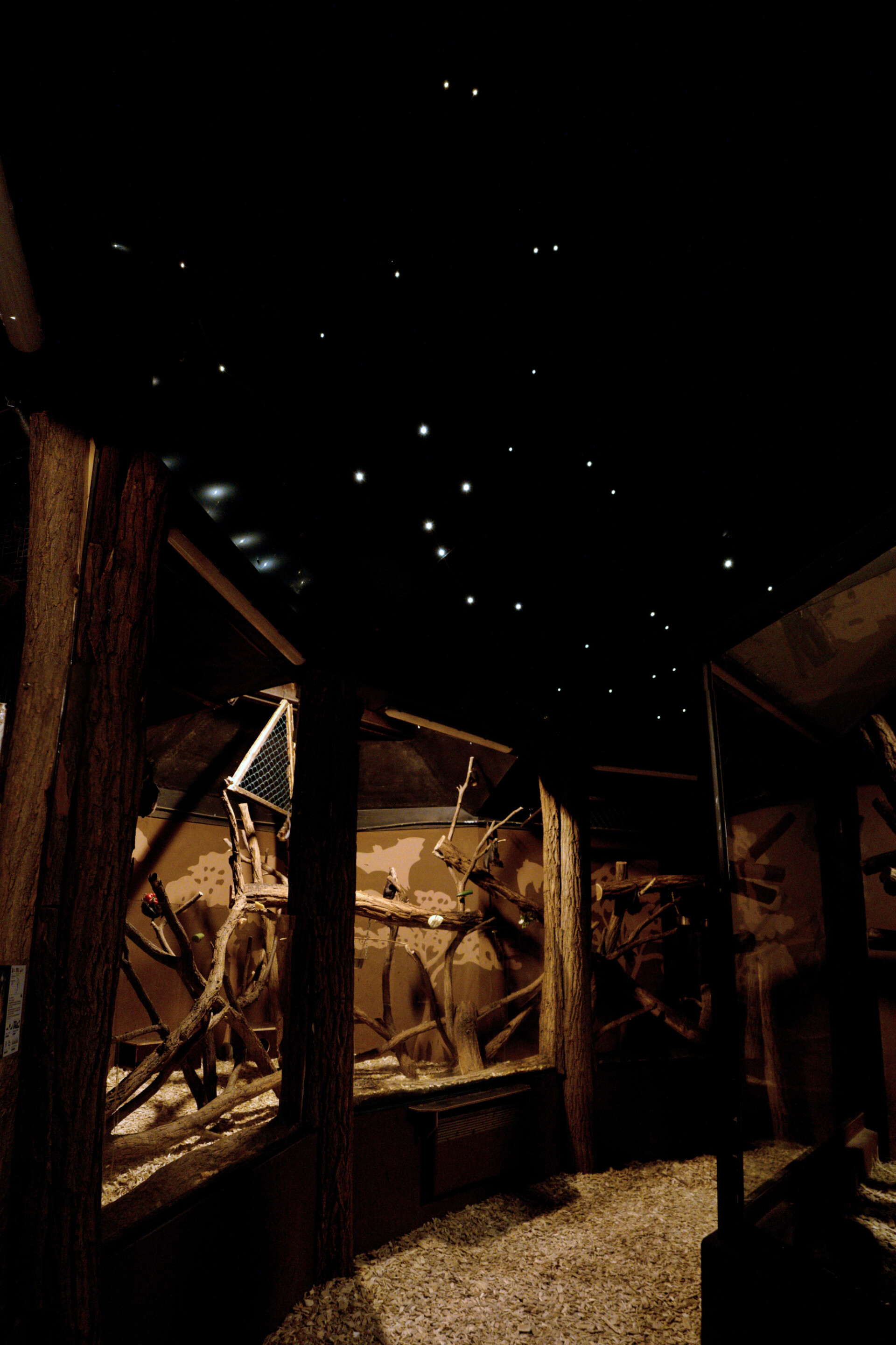 zdroj: Zoo Olomouc