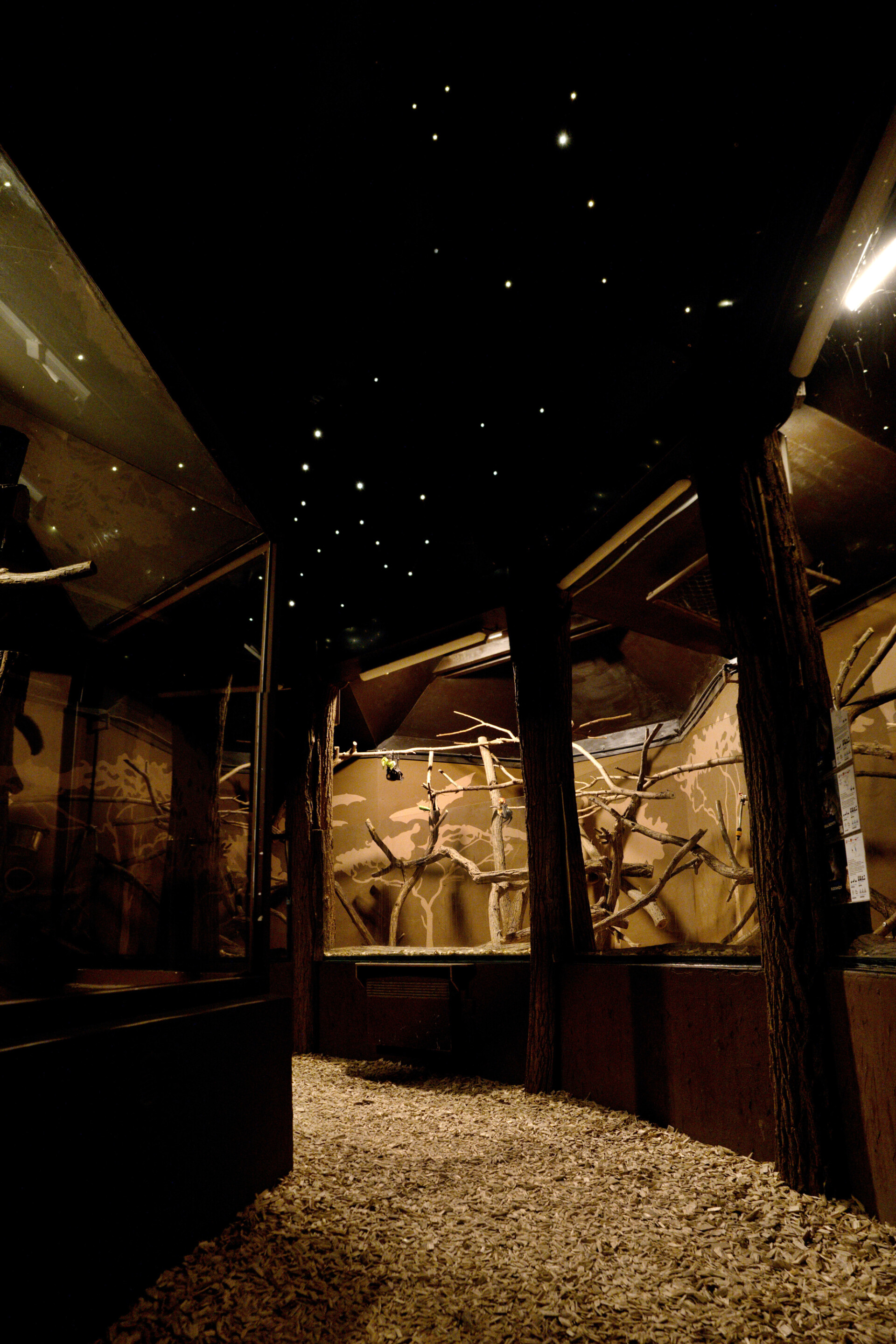 zdroj: Zoo Olomouc