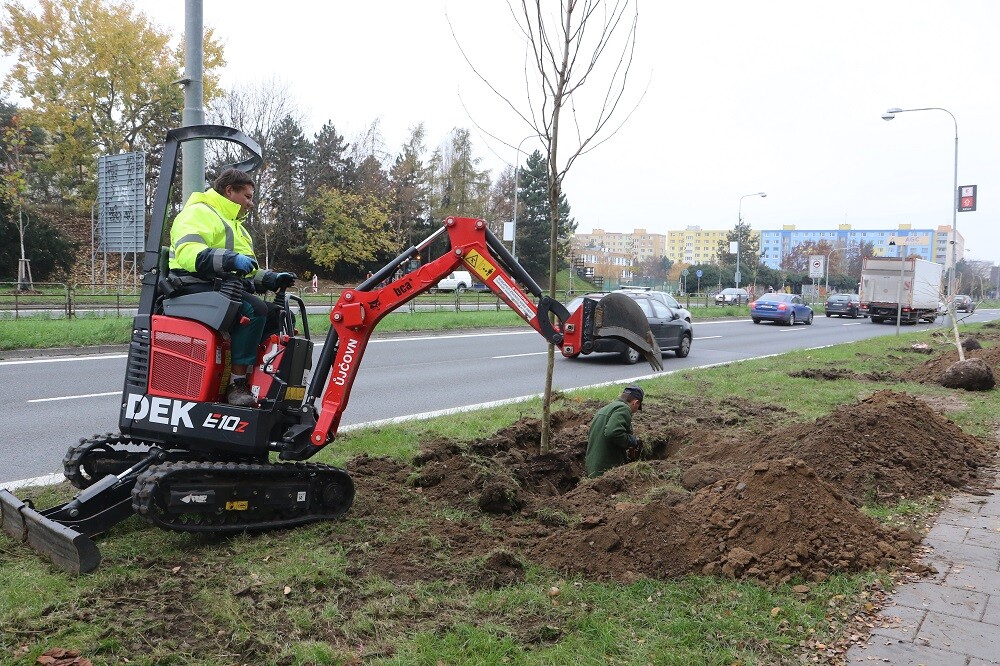 Důležitou součástí Akčního plánu pro rok 2023 je také kultivace veřejného prostoru, včetně výsadby nových stromů, keřů, okrasných travin a květin.