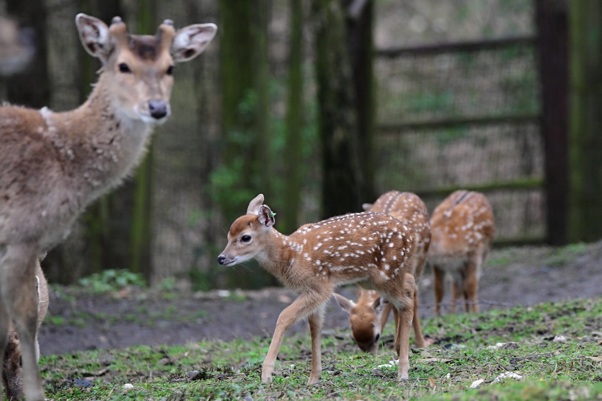 zdroj: Zoo Olomouc
