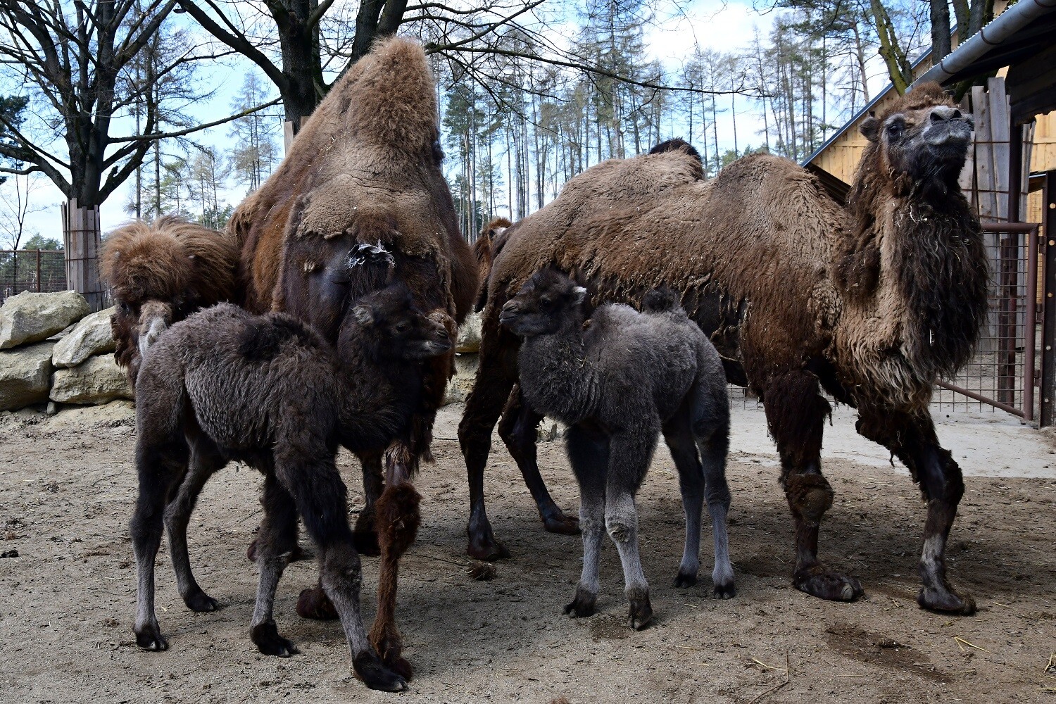 zdroj: Zoo Olomouc