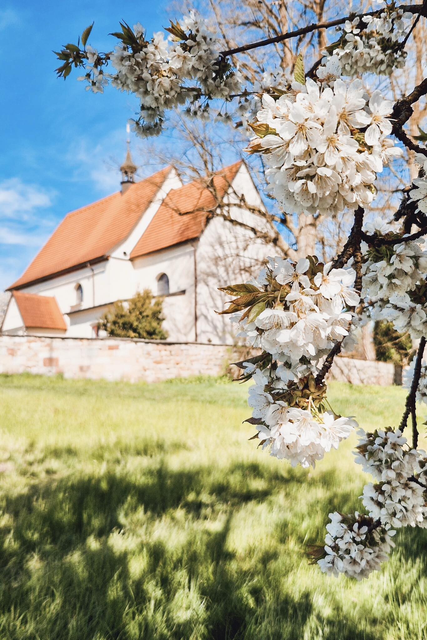 Barokní kostel Navštívení Panny Marie; zdroj: Olomoucký Report