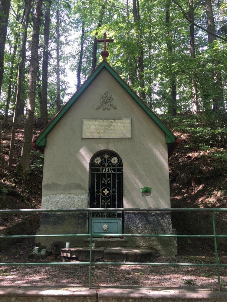 Lesní kaplička s blahodárnou vodou; zdroj: Olomoucký Report