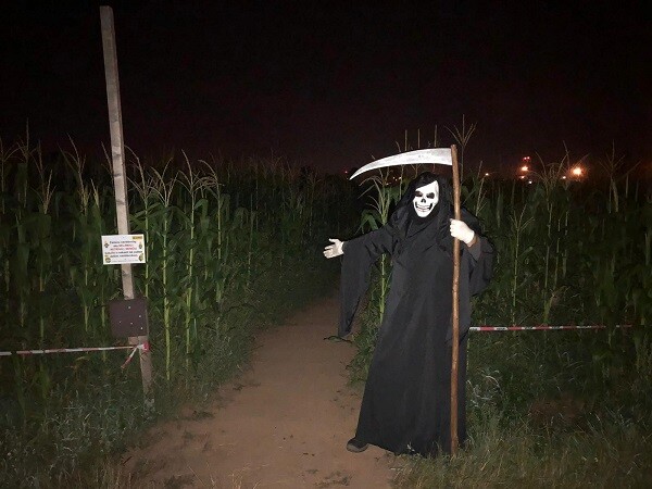 zdroj: Kukuřičáci