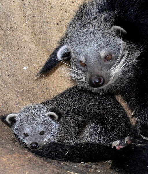 zdroj: Zoo Olomouc