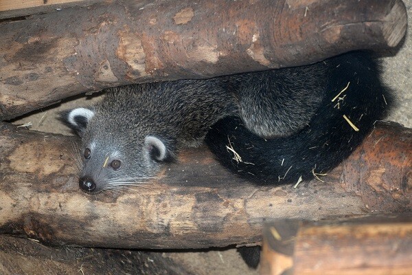 zdroj: Zoo Olomouc