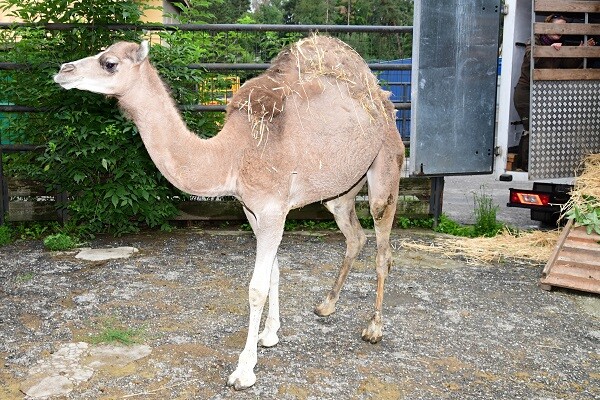zdroj: Zoo Olomouc