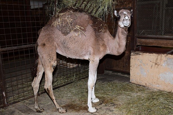 zdroj: Zoo Olomouc
