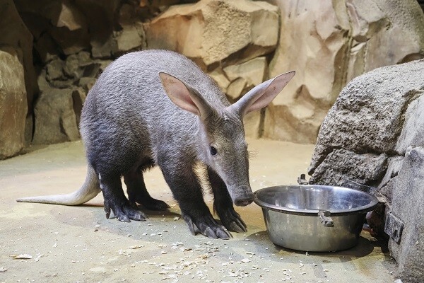 zdroj: Zoo Olomouc