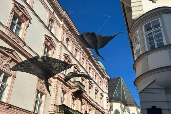 Manty v Opletalově ulici, zdroj: Olomoucký Report
