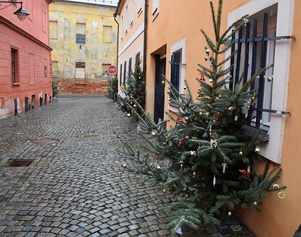 zdroj: Olomoucký Report