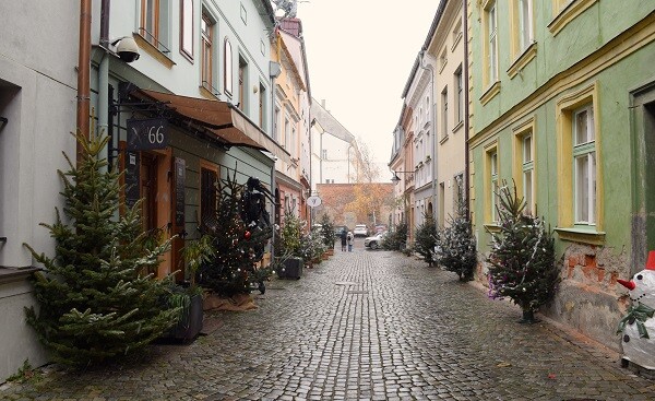 zdroj: Olomoucký Report