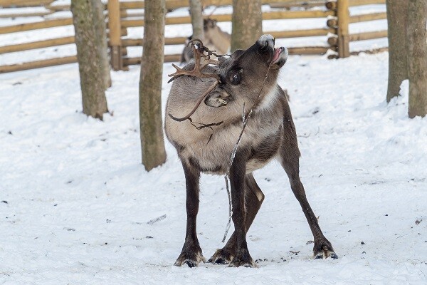 zdroj: Zoo Olomouc
